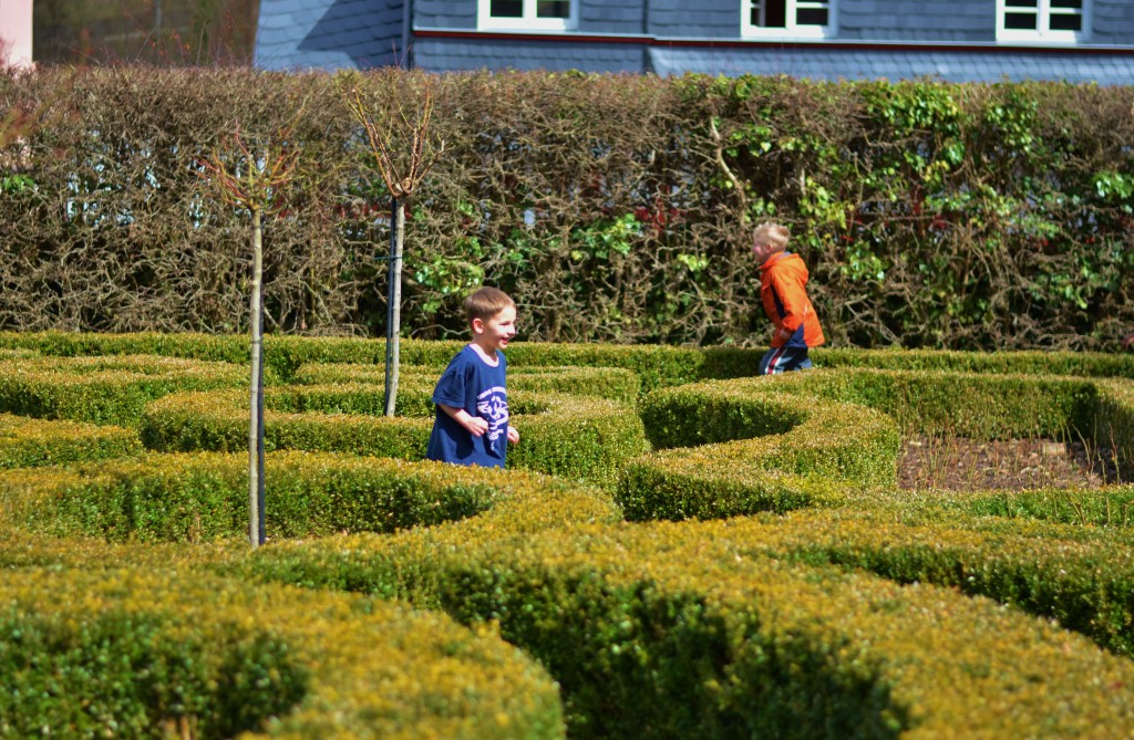 maze