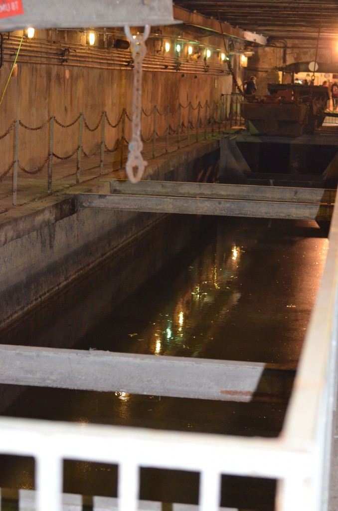Sewer (3)