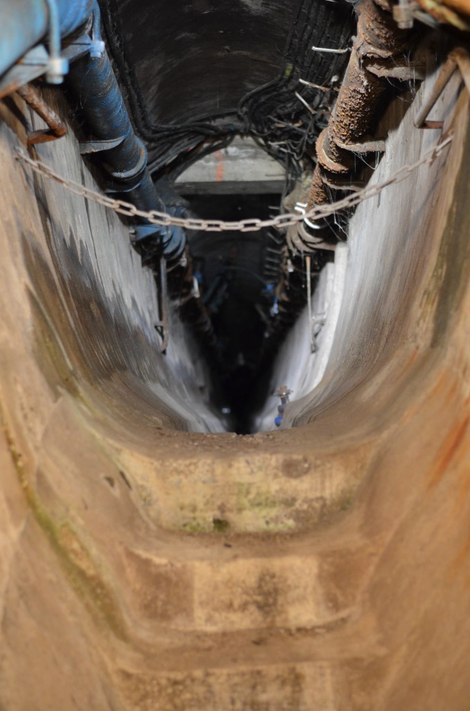 Sewer (4)