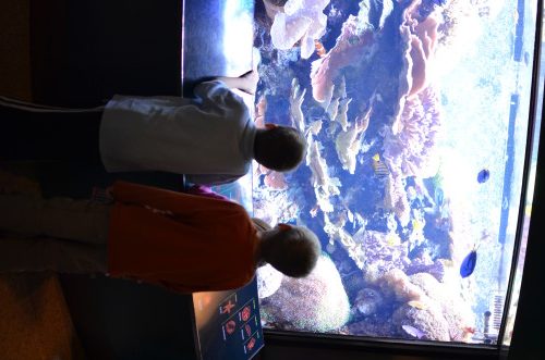 DSC_0603